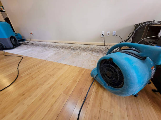 Professional Ceiling Water Damage Repair technician working in Trempealeau, WI
