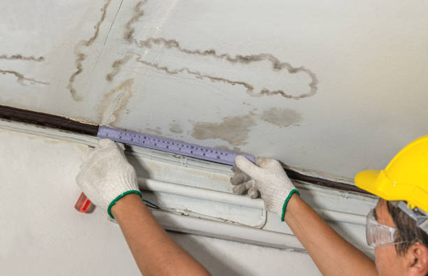 Affordable Ceiling Water Damage Repair solutions in Trempealeau, WI